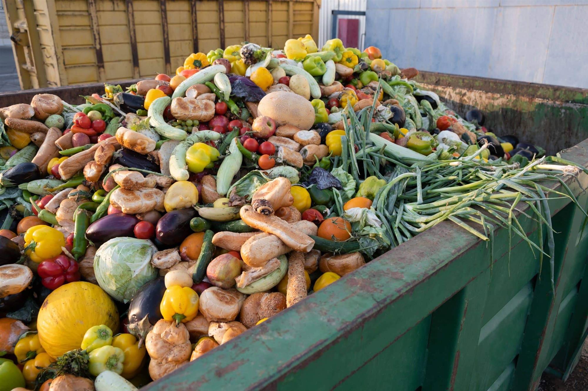 foodwaste food waste